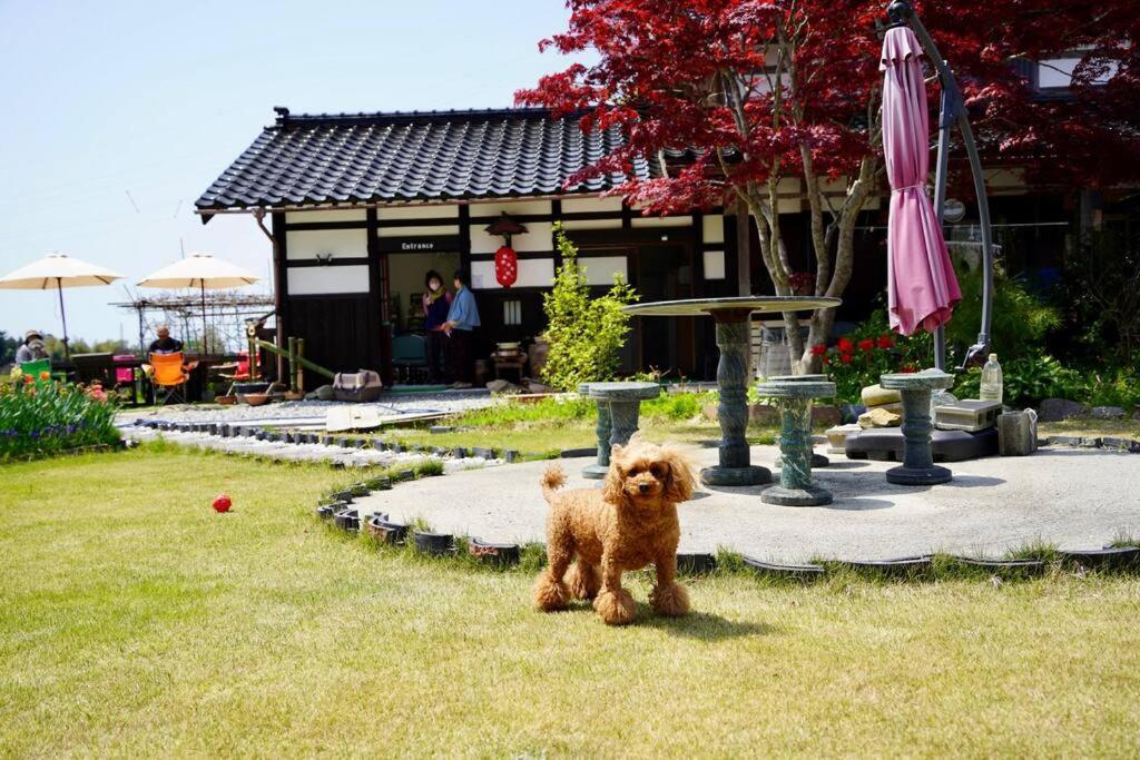 ガーデンハウス道楽亭 Sado Exterior foto